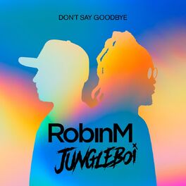 Album cover of Don't Say Goodbye