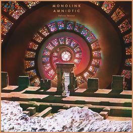 Album cover of Amniotic (Deluxe Version)