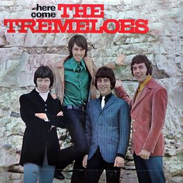 Album cover of Here come The Tremeloes