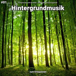Album cover of #01 Hintergrundmusik zum Entspannen