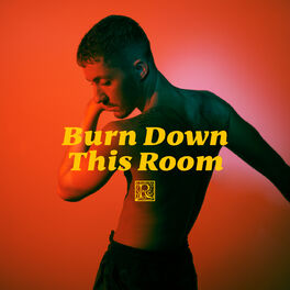 Album cover of Burn Down This Room