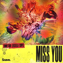Album cover of Miss You