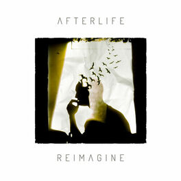 Album cover of Reimagine
