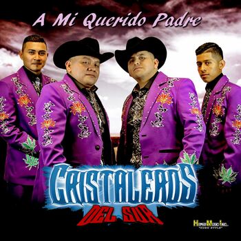 Cristaleros Del Sur - A Mi Querido Padre: escucha canciones con la letra |  Deezer