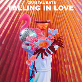 Album cover of Falling In Love
