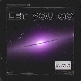 Album cover of Let You Go