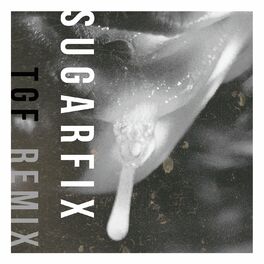 Album cover of Sugarfix (Teengirl Fantasy Mix)
