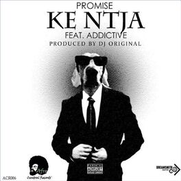 Album cover of Promise (Ke Ntja)