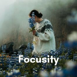 Album cover of Focusity