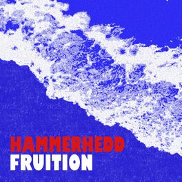 Album cover of Fruition