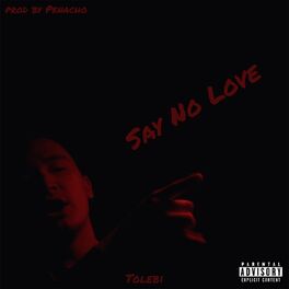 Album cover of Say No Love