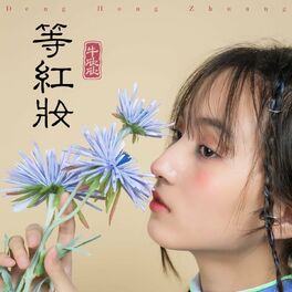 Album cover of 等红妆