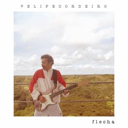 Album cover of Flecha