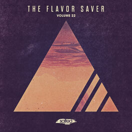 Album cover of The Flavor Saver, Vol. 22