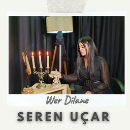 Album cover of Wer Dilane