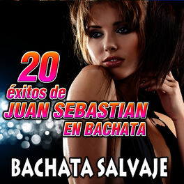 Album cover of 20 Exitos de Joan Sebastian en Bachata