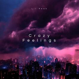 Album cover of Crazy Feelings (feat. The Palms & Vista Kicks)