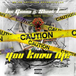 Album cover of You Know Me (feat. Sheek Louch)