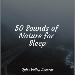Album cover of 50 Sounds of Nature for Sleep