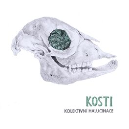 Album cover of Kosti