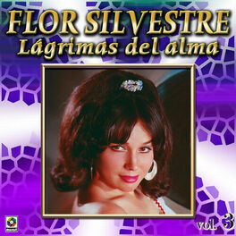 Album cover of Colección de Oro: Con Mariachi – Vol. 3, Lágrimas del Alma