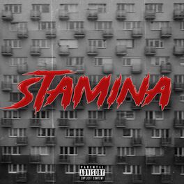 Album cover of STAMINA (feat. ZABO)