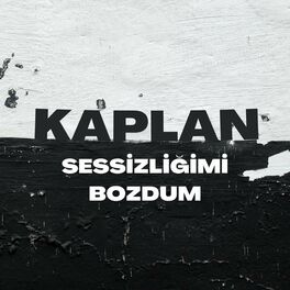Album cover of Sessizliğimi Bozdum