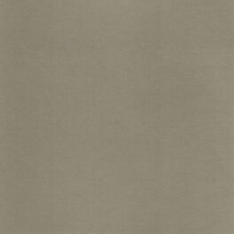 Album cover of Tri Repetae
