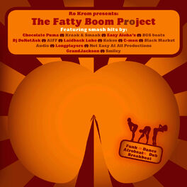 Album cover of The Fatty Boom Project