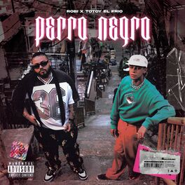 Album cover of Perro Negro