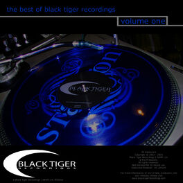 Album cover of The Best Of Black Tiger - Volume 1
