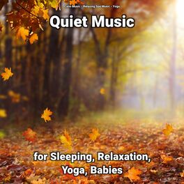 Album cover of Quiet Music for Sleeping, Relaxation, Yoga, Babies