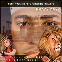 Album cover of Krazy Dayz