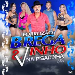 Album cover of Forrozão Brega E Vinho 2018