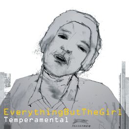Album cover of Temperamental