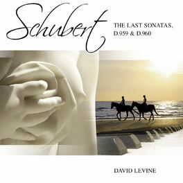 Album cover of Schubert: The Last Sonatas, D. 959 & D. 960