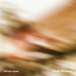 Album cover of Birds Fly Away