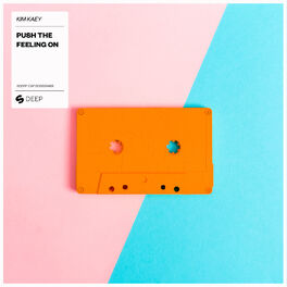 Album cover of Push The Feeling On