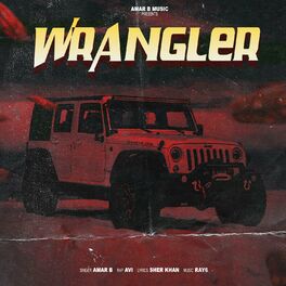 Album cover of Wrangler (feat. AVI)