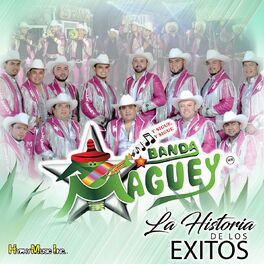 Album cover of La Historia de Los Exitos