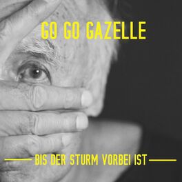 Album cover of Bis der Sturm vorbei ist