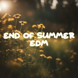 Album cover of End Of Summer EDM