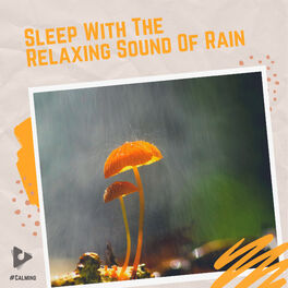 Album cover of Sleep With The Relaxing Sound Of Rain