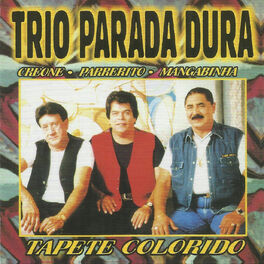 Album cover of Tapete Colorido