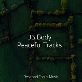 Album cover of 35 Body Peaceful Tracks