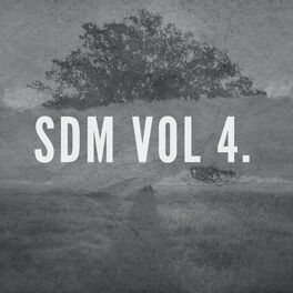 Album cover of Sdm, Vol. 04