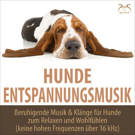 Album cover of Hunde Entspannungsmusik - Beruhigende Musik & Klänge für Hunde zum Relaxen und Wohlfühlen (keine hohen Frequenzen über 16 khz)