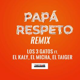 Album cover of Papá Respeto Remix