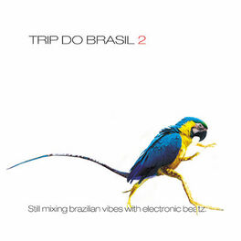 Album cover of Trip Do Brasil 2 - Still Mixing Brazilian Vibes With Electronic Beatz