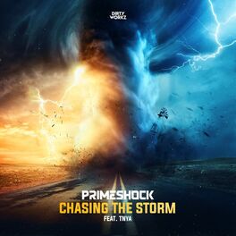 Album cover of Chasing The Storm